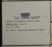 Image Associated With the Occurence